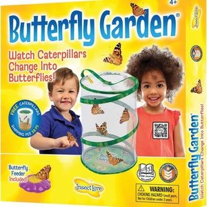 Butterfly garden